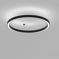 SURFACE and PENDANT LUMINAIRES