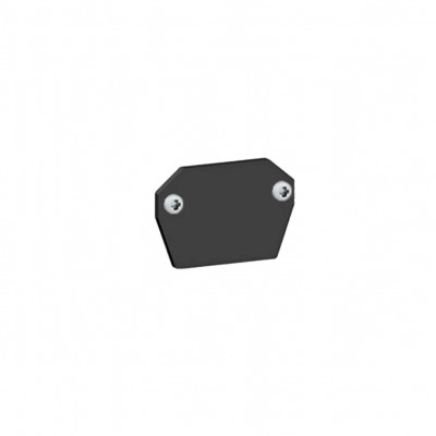 Low Voltage Trimless Track End Plate
